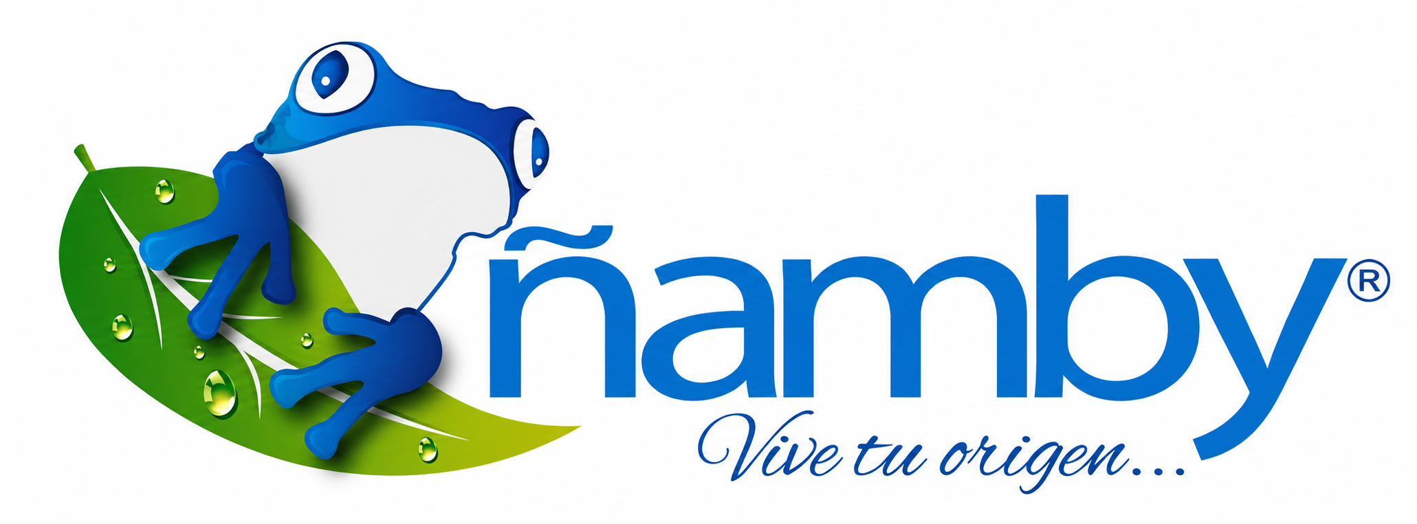 Ñamby Tours